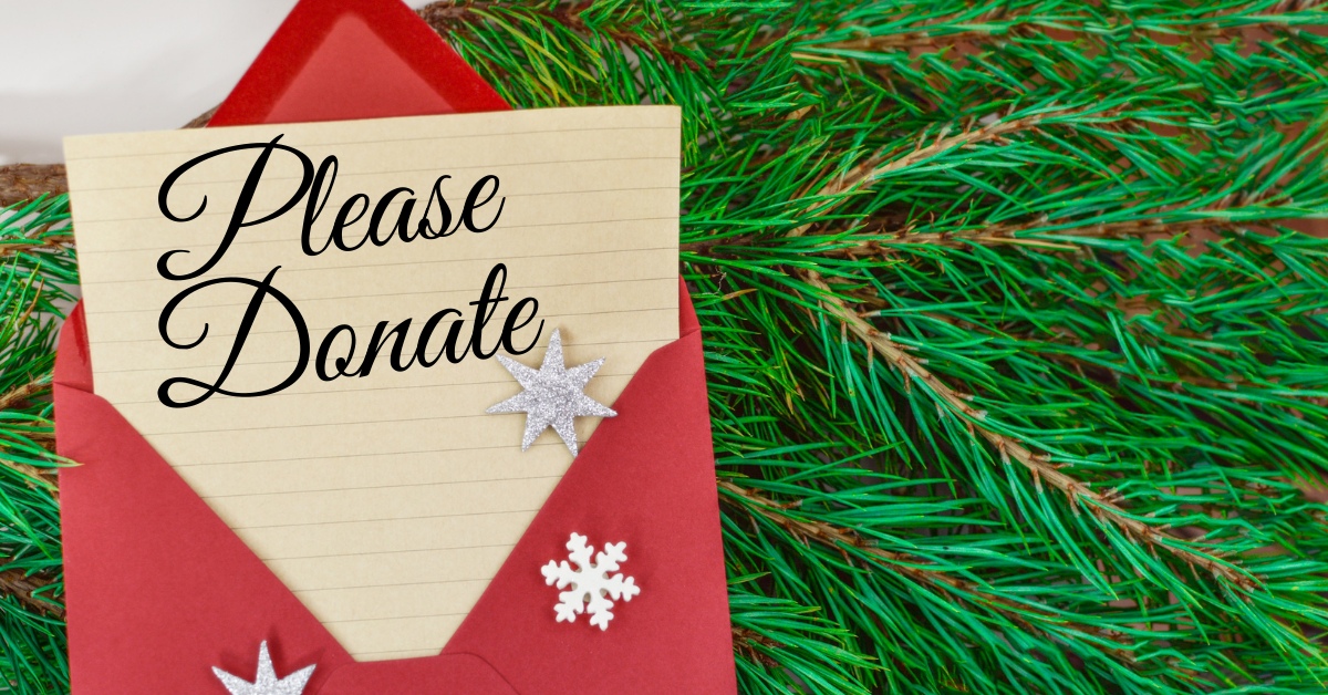 Read more about the article How important is Your Year End Fundraising Email?